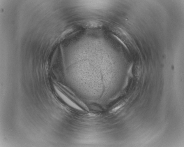X0000088730326200706141644