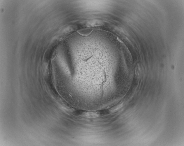 X0000088730327200706141644