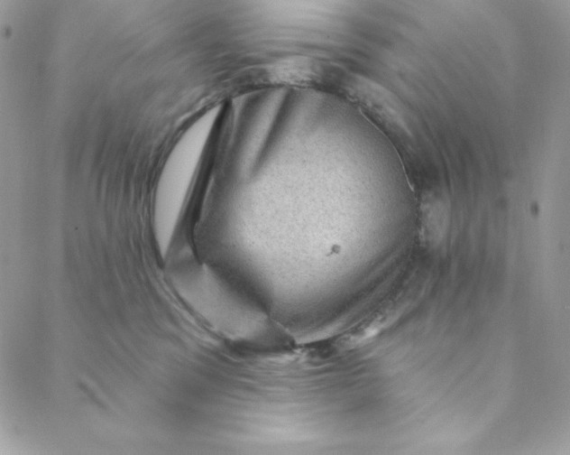 X0000088730329200706141644