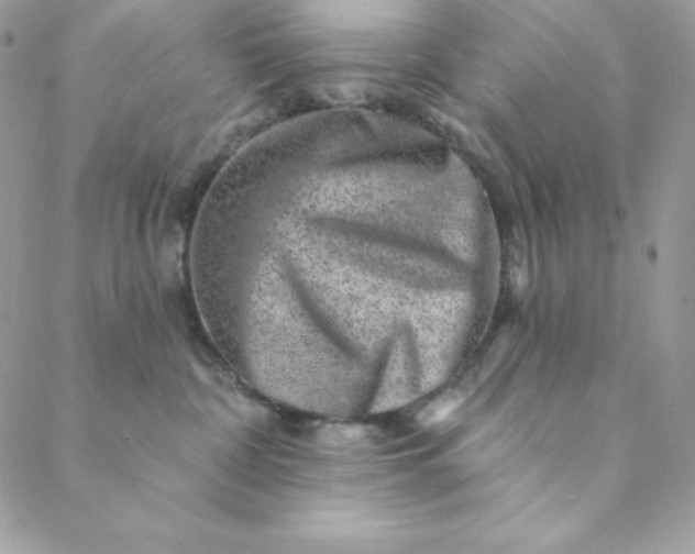 X0000088730332200706141644