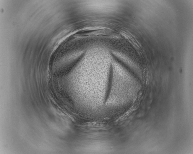 X0000088730338200706141643