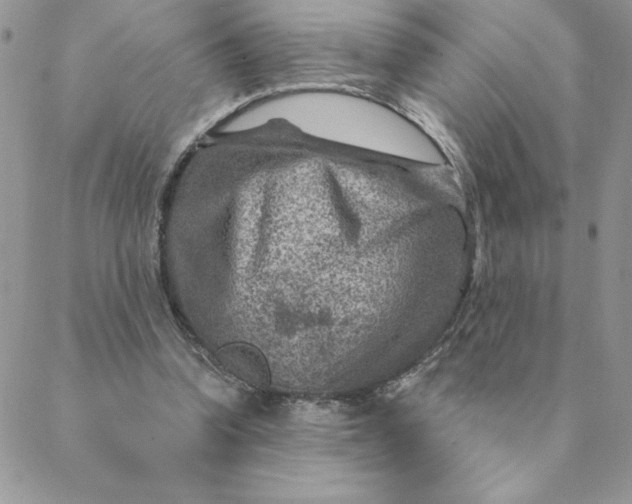 X0000088730346200706141644