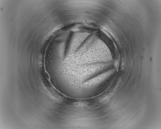 X0000088730356200706141644