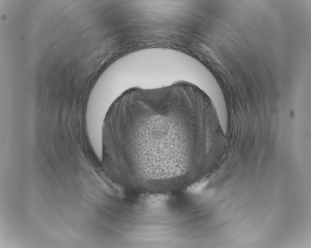 X0000088730368200706141644