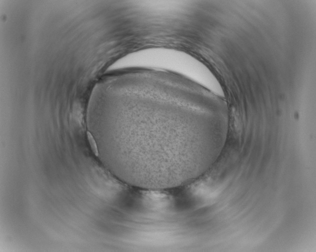 X0000088730380200706141644