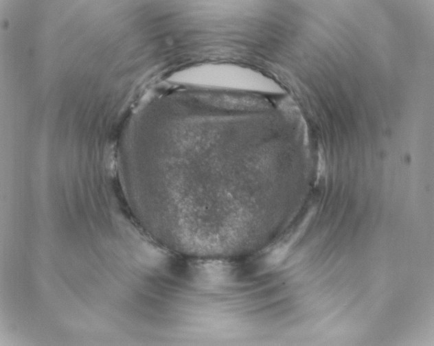 X0000088730383200706141644
