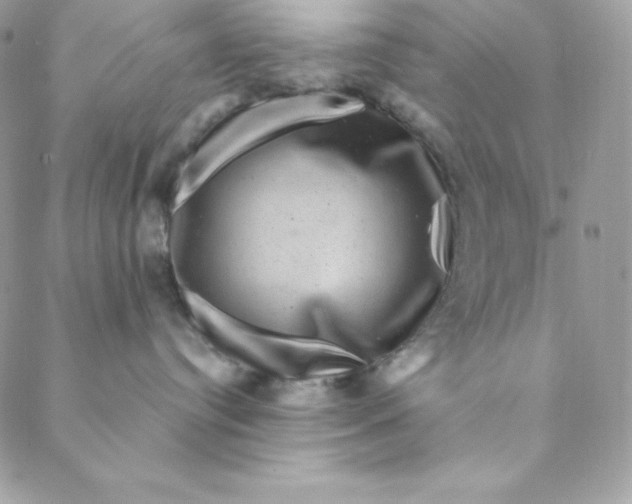 X0000088730384200706141644
