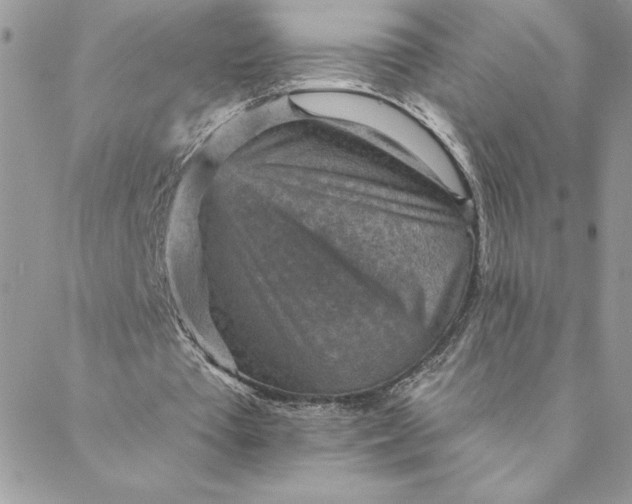 X0000088730385200706141643