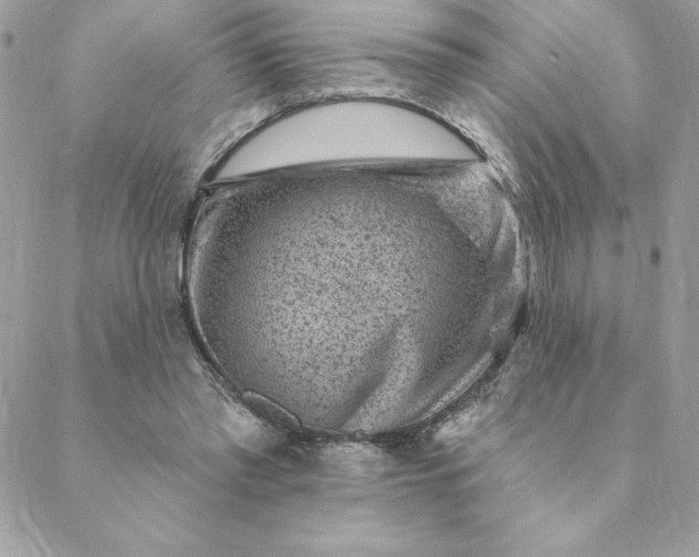 X0000088730397200706141643