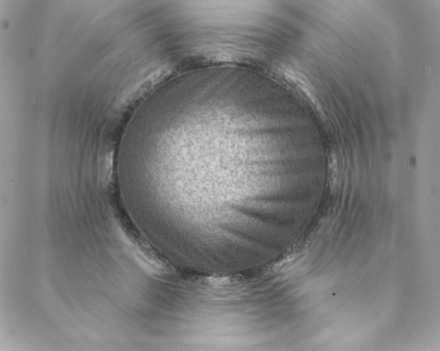X0000088730406200706141643