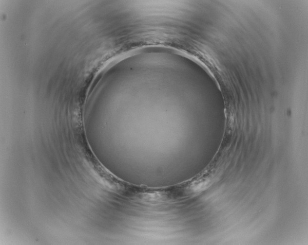 X0000088730411200706141643