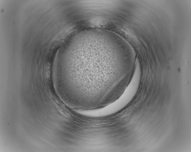 X0000088730413200706141643