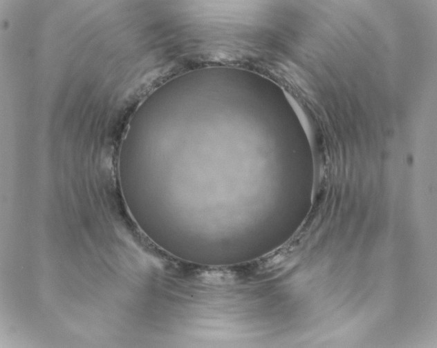 X0000088730415200706141643