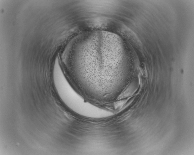 X0000088730416200706141643