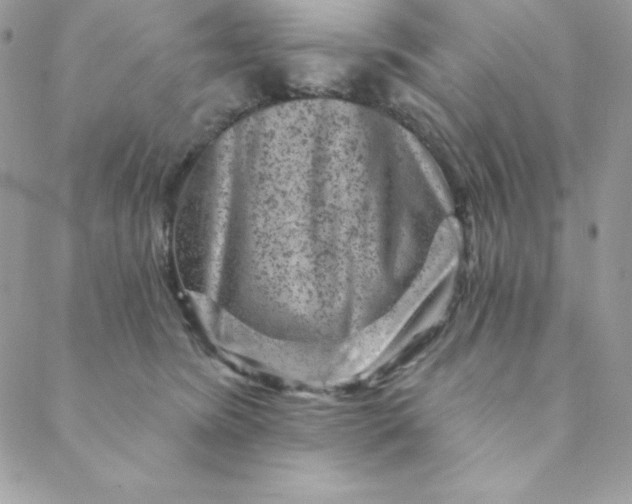 X0000088730420200706141643