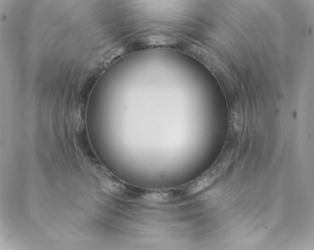 X0000088730422200706141643