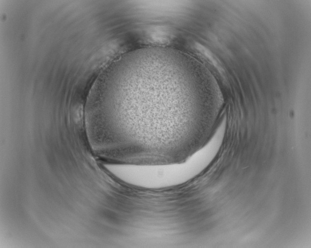 X0000088730425200706141643
