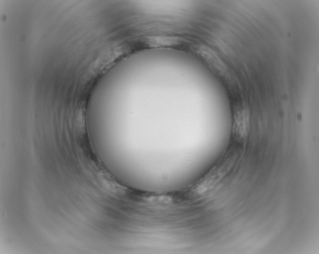 X0000088730426200706141643