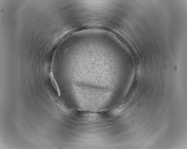 X0000088730428200706141643