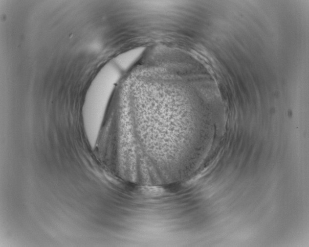 X0000088730429200706141643