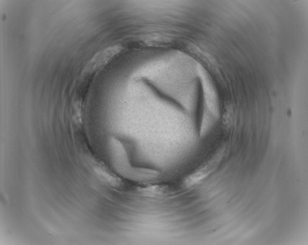 X0000088730430200706141643