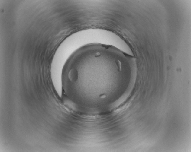 X0000088730432200706141643