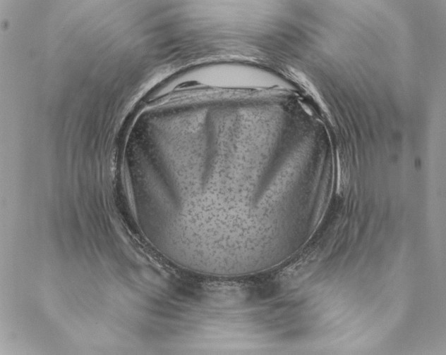 X0000088730435200706141642