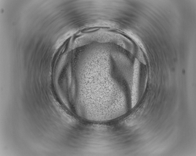 X0000088730437200706141642
