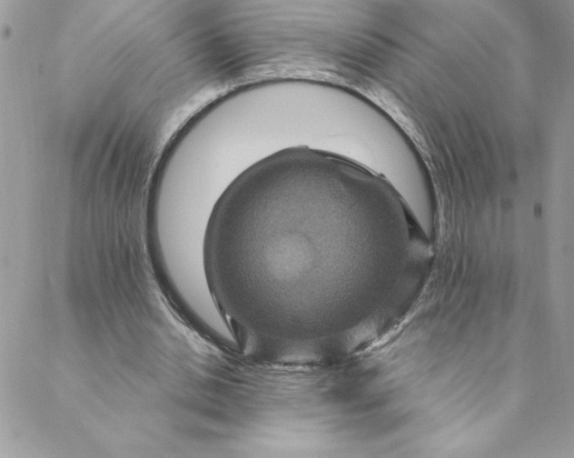 X0000088730438200706141642
