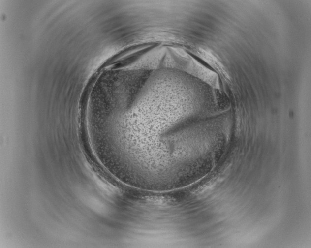 X0000088730439200706141642