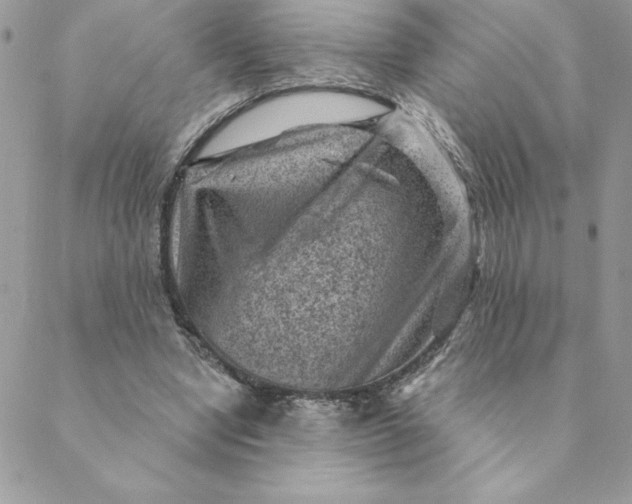 X0000088730442200706141642