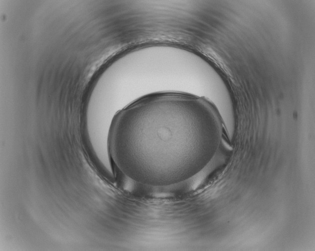 X0000088730444200706141642