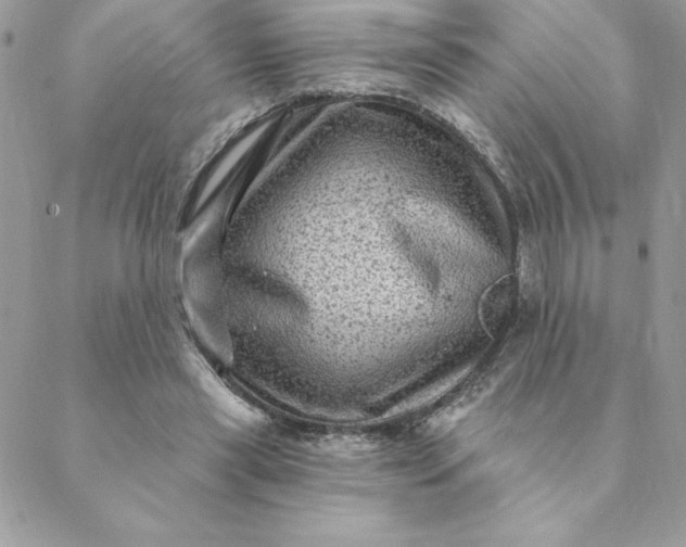 X0000088730445200706141642