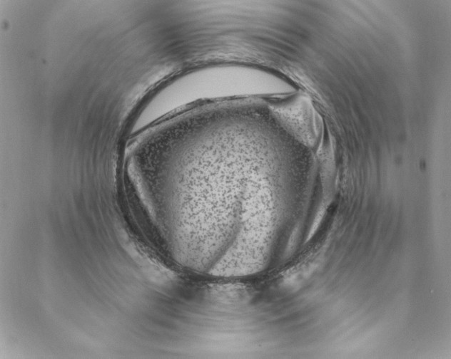 X0000088730446200706141642