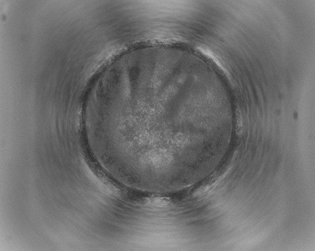 X0000088730451200706141642
