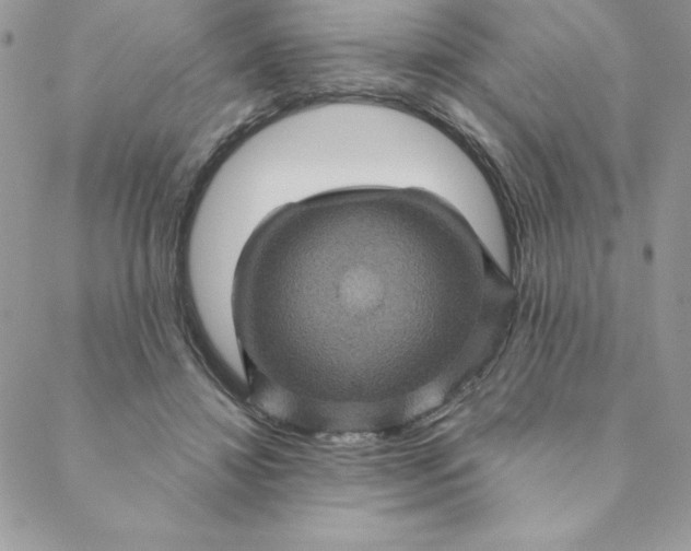 X0000088730452200706141642