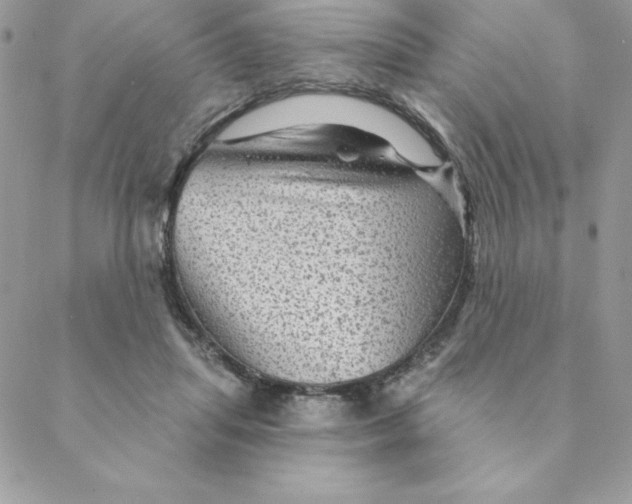 X0000088730455200706141642