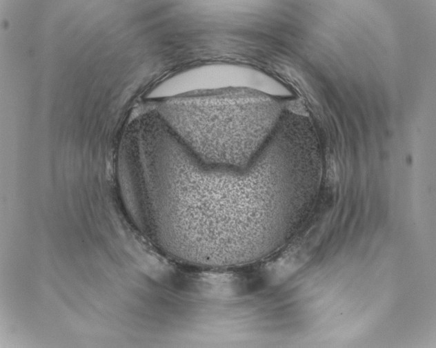 X0000088730457200706141642