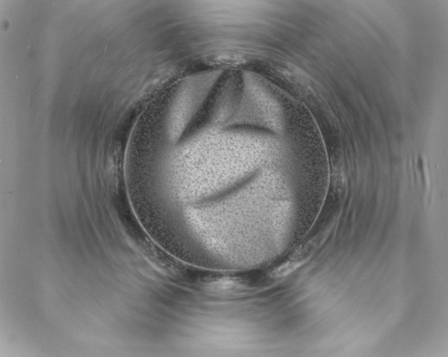 X0000088730460200706141642