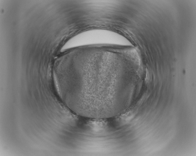 X0000088730466200706141642