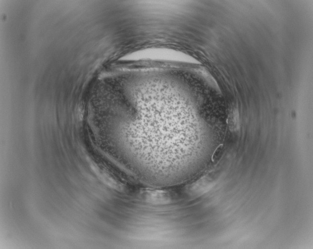 X0000088730472200706141642