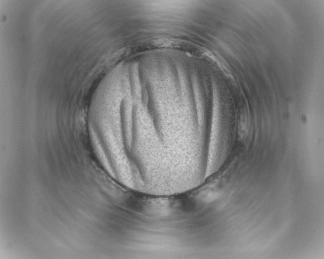 X0000088730473200706141642