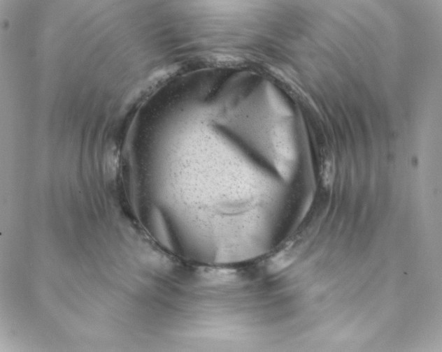 X0000088730476200706141643