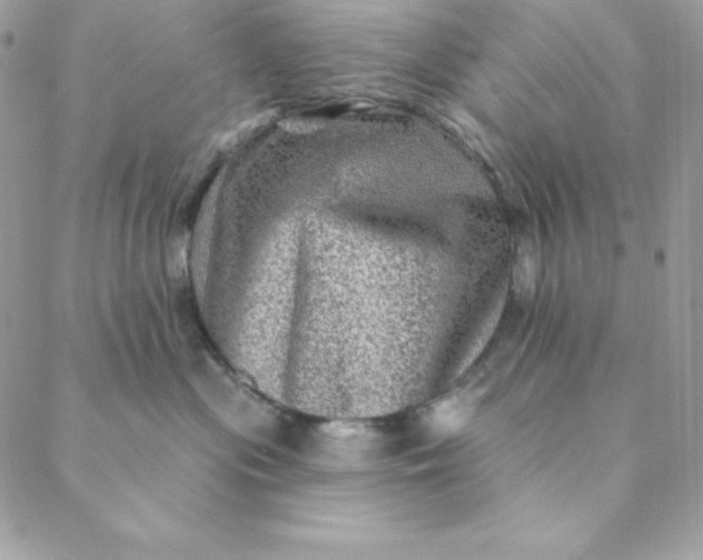 X0000088730477200706141643