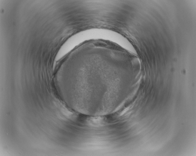 X0000088730479200706141643