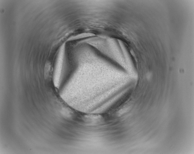 X0000088730480200706141643