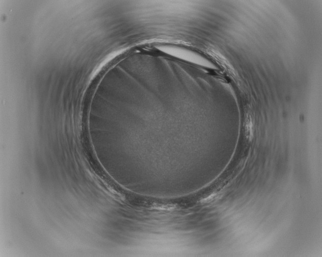 X0000088730484200706141642