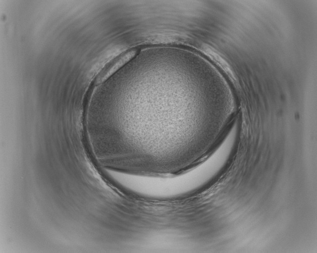 X0000088730485200706141642