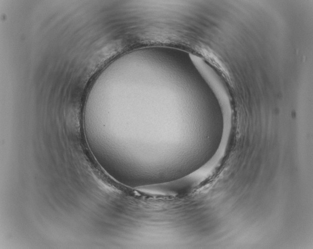 X0000088730489200706141642