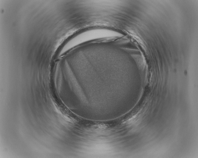 X0000088730492200706141642